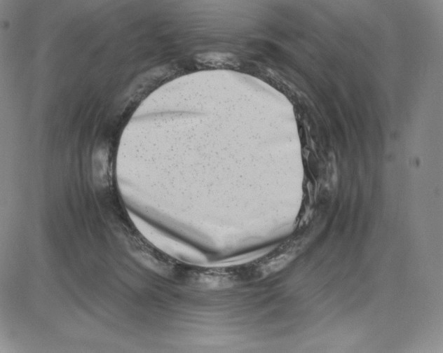 X0000080110420200701051334