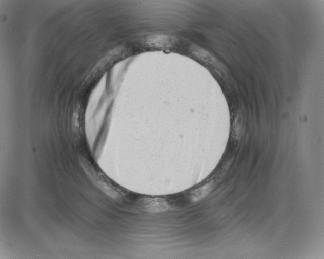 X0000080110424200701051334