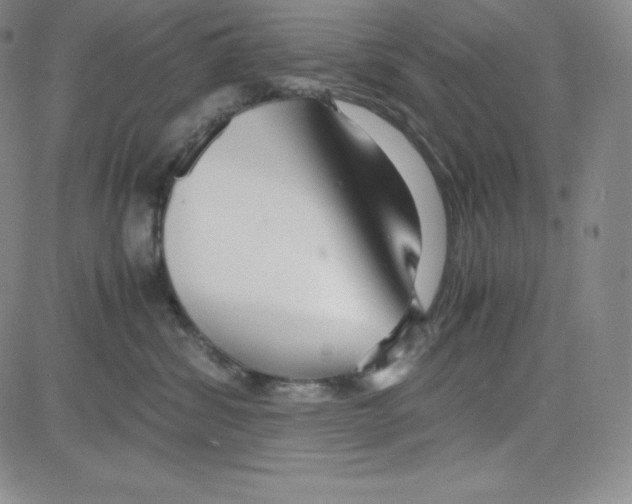 X0000080110428200701051334