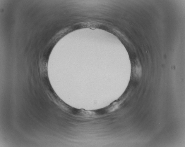 X0000080110429200701051334