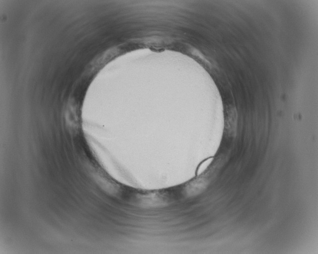 X0000080110430200701051334