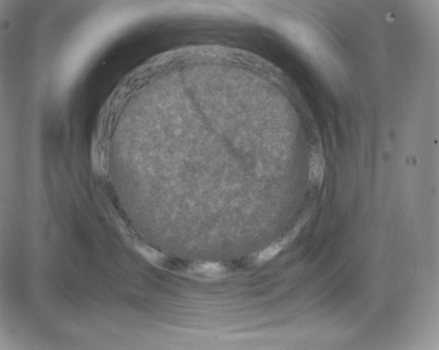 X0000080110431200701051334