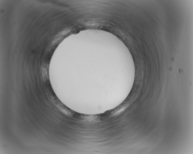 X0000080110432200701051334