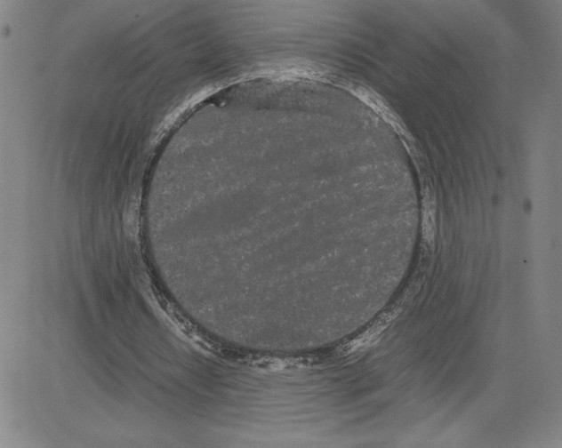 X0000080110434200701051333