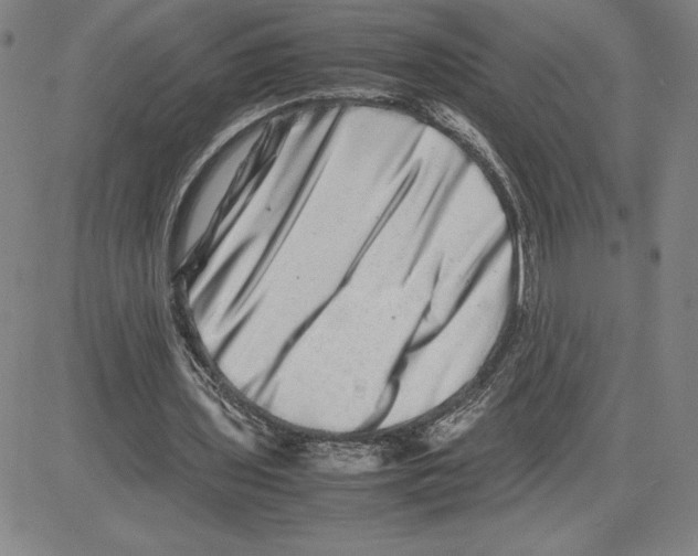 X0000080110435200701051333