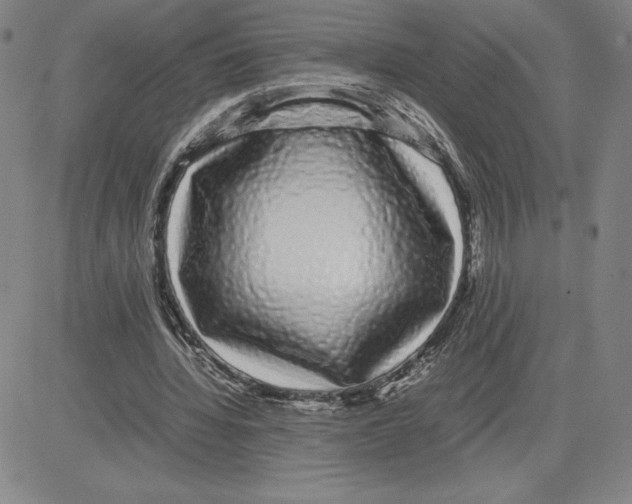 X0000080110436200701051333