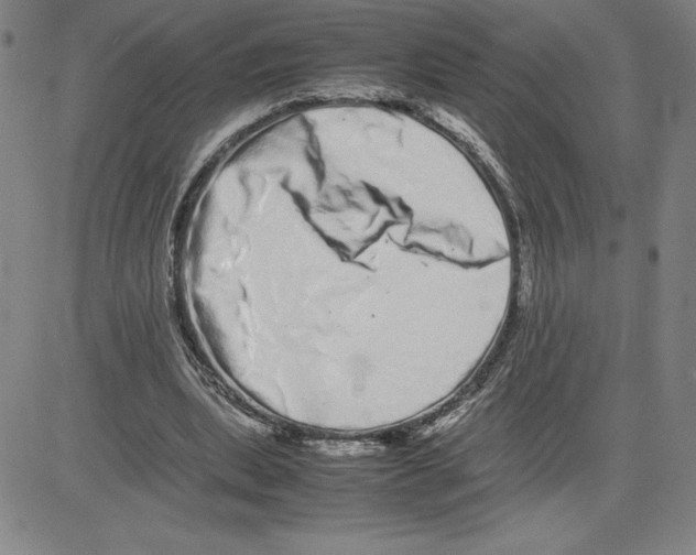 X0000080110439200701051333