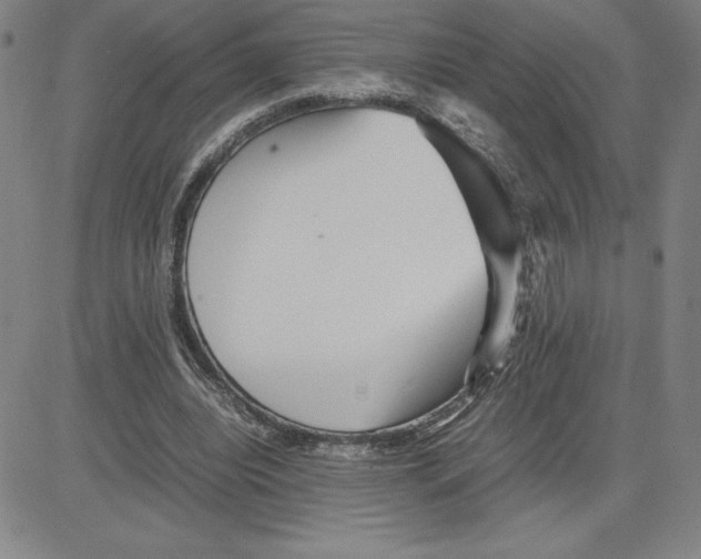 X0000080110440200701051333