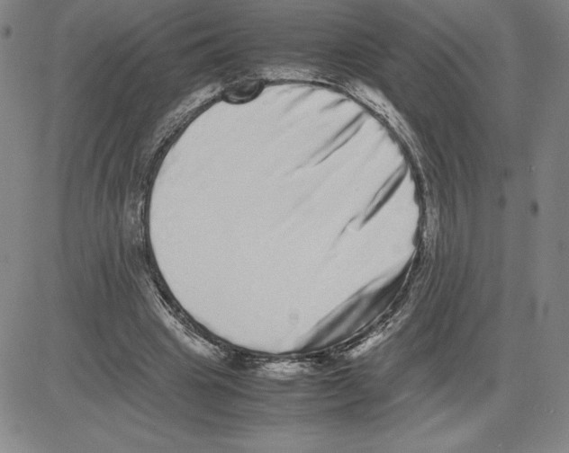 X0000080110441200701051333