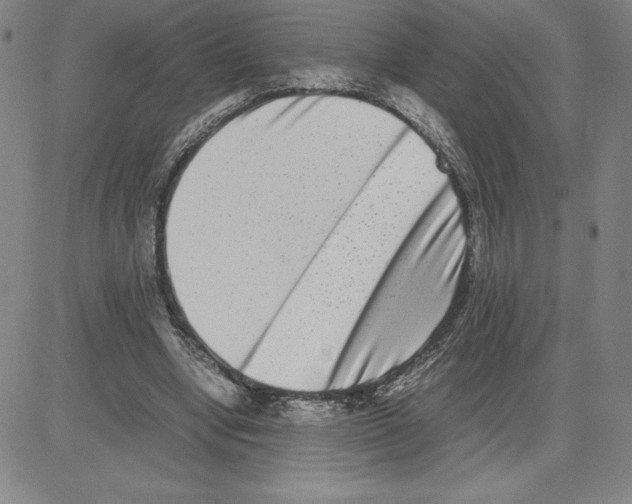 X0000080110442200701051333