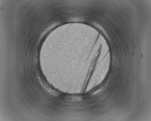 X0000080110443200701051333