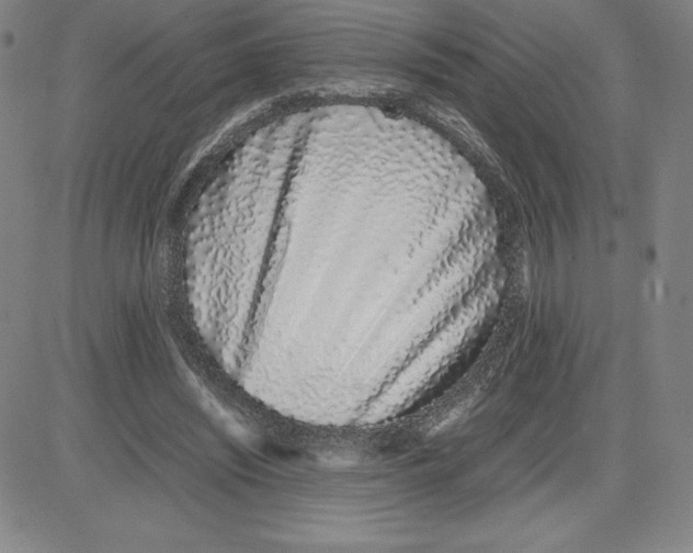 X0000080110444200701051333