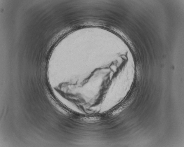 X0000080110445200701051333