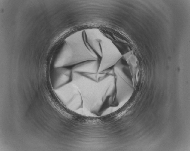 X0000080110446200701051333