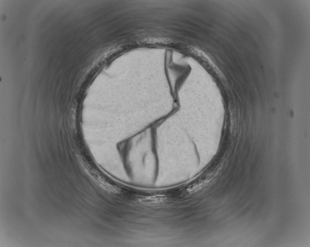 X0000080110447200701051333