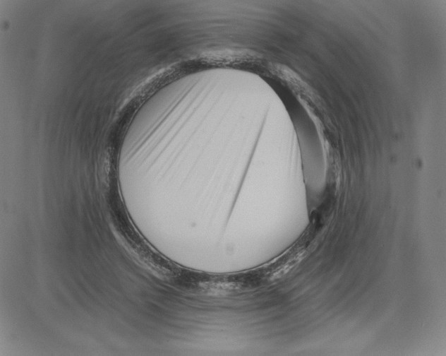 X0000080110448200701051333