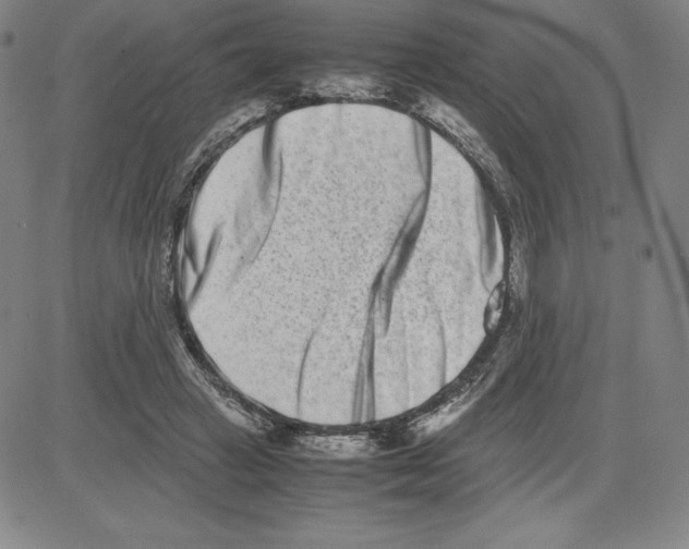 X0000080110449200701051333