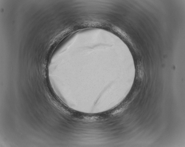 X0000080110450200701051334