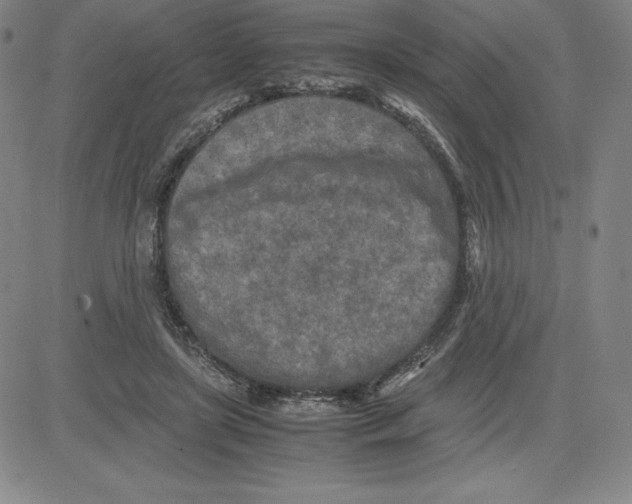 X0000080110451200701051334