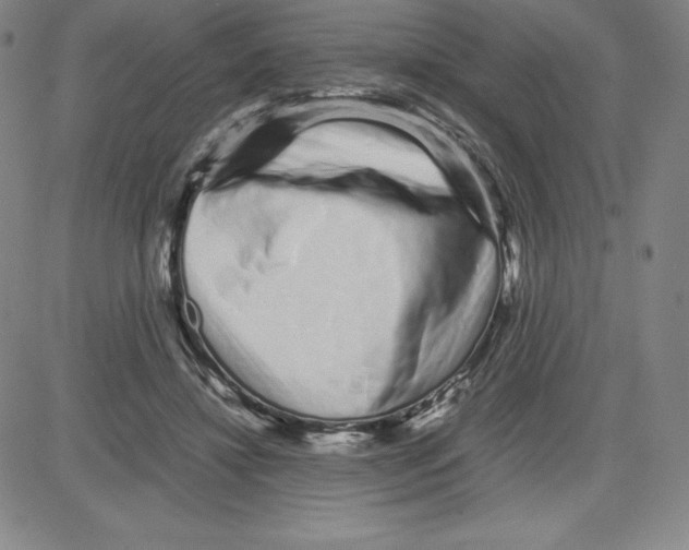 X0000080110452200701051334