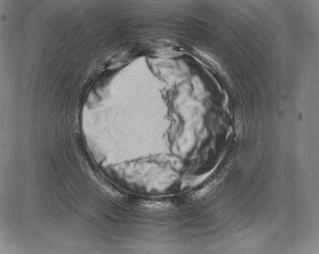 X0000080110453200701051334