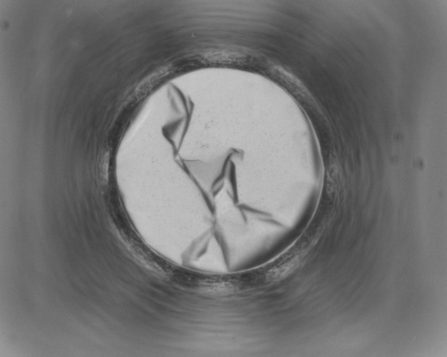 X0000080110454200701051334