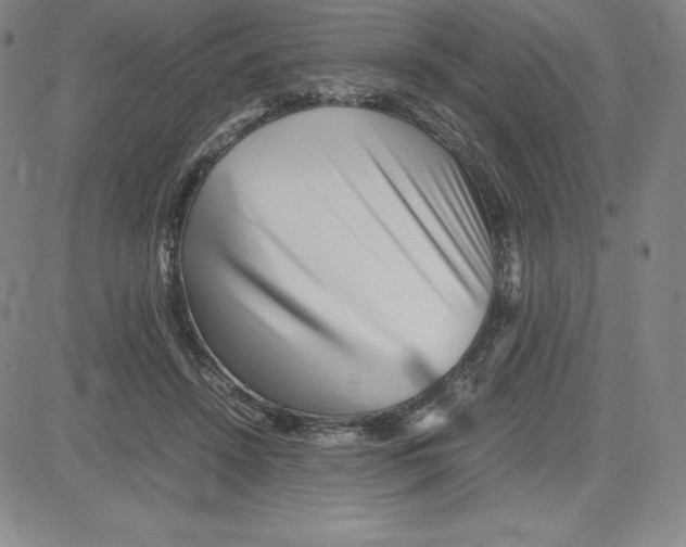 X0000080110456200701051334