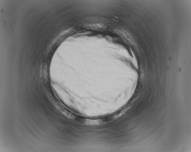 X0000080110457200701051334