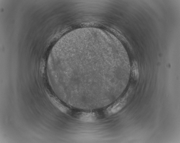 X0000080110458200701051334