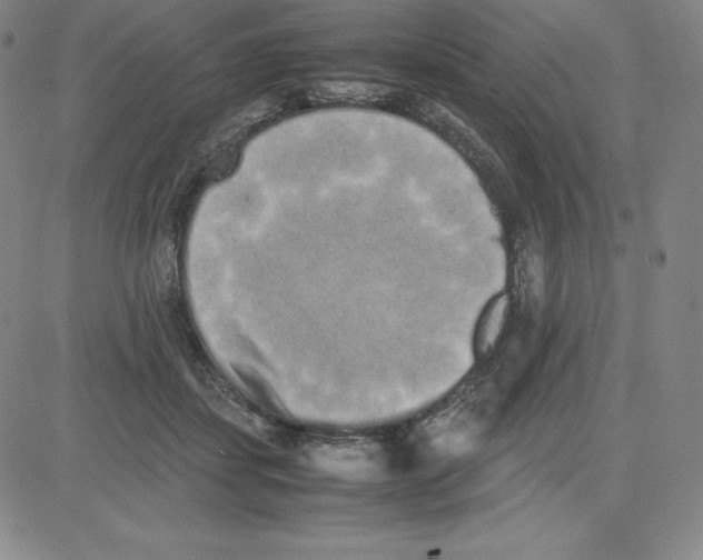 X0000080110459200701051334