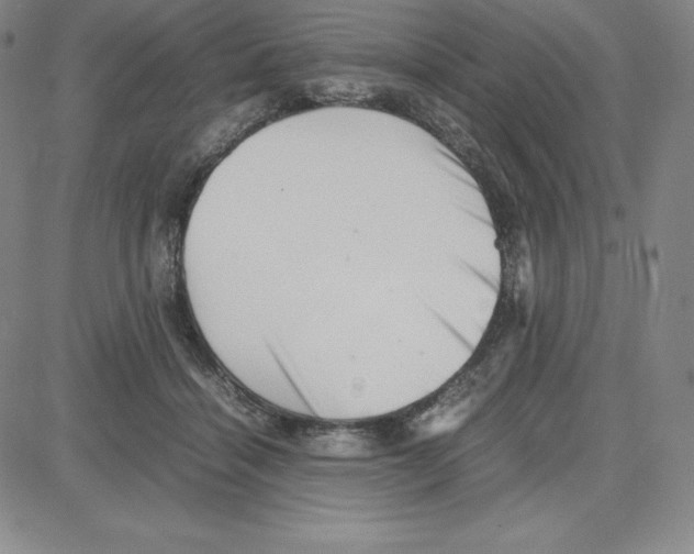 X0000080110460200701051334