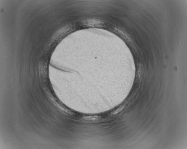 X0000080110461200701051334