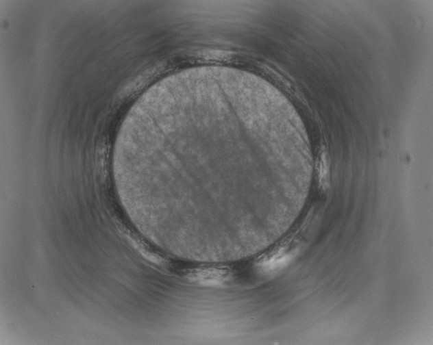 X0000080110462200701051334