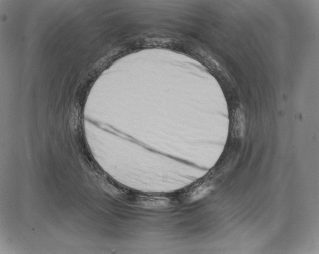 X0000080110463200701051334