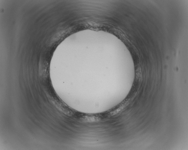 X0000080110464200701051334