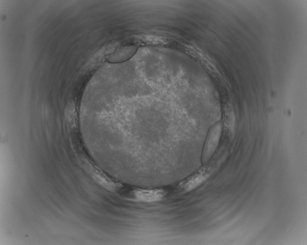 X0000080110465200701051334