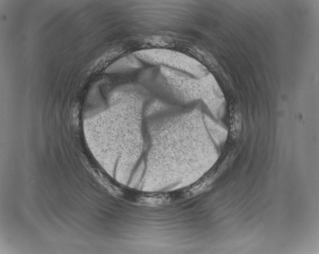 X0000080110466200701051334