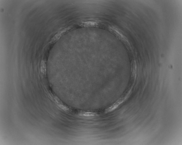 X0000080110467200701051334