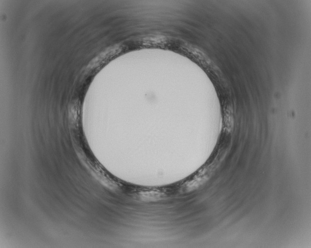 X0000080110468200701051334