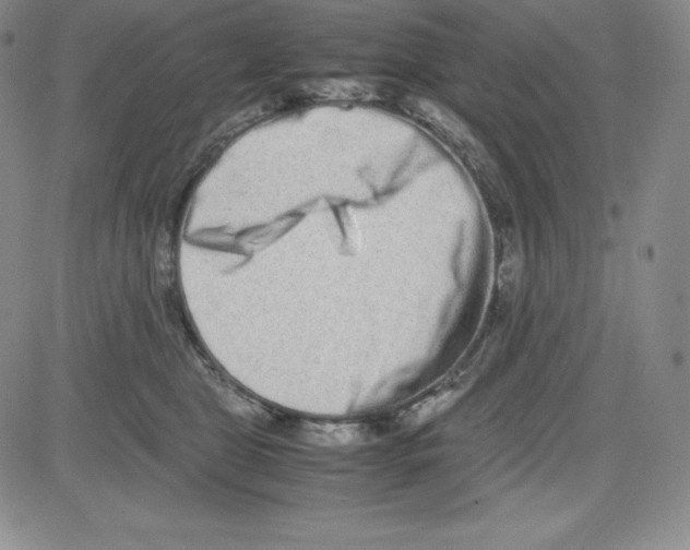 X0000080110469200701051334