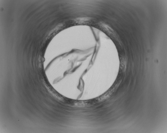 X0000080110470200701051334