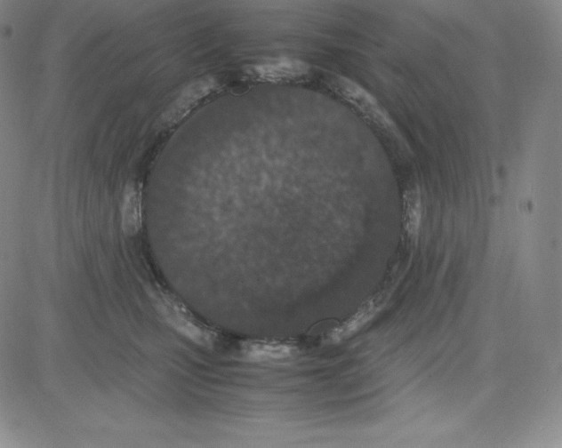 X0000080110471200701051334