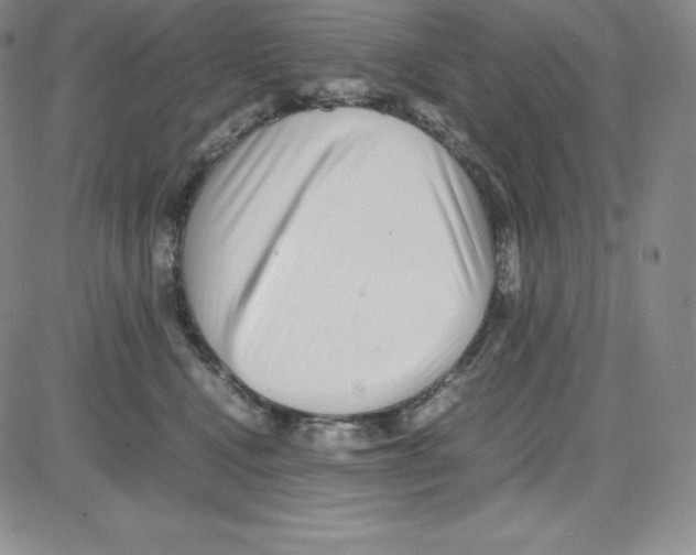 X0000080110472200701051334