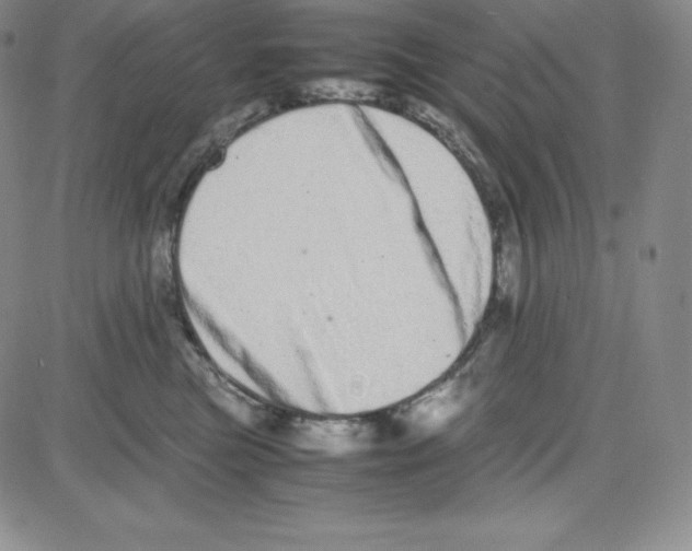 X0000080110473200701051334