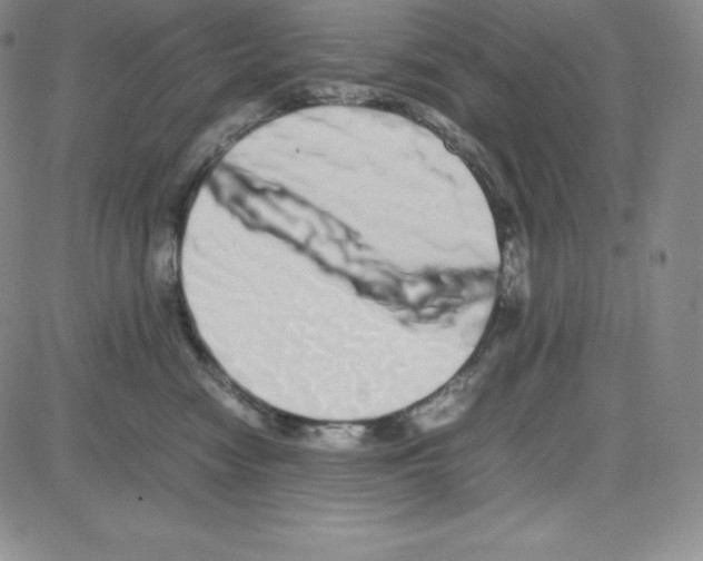 X0000080110474200701051334