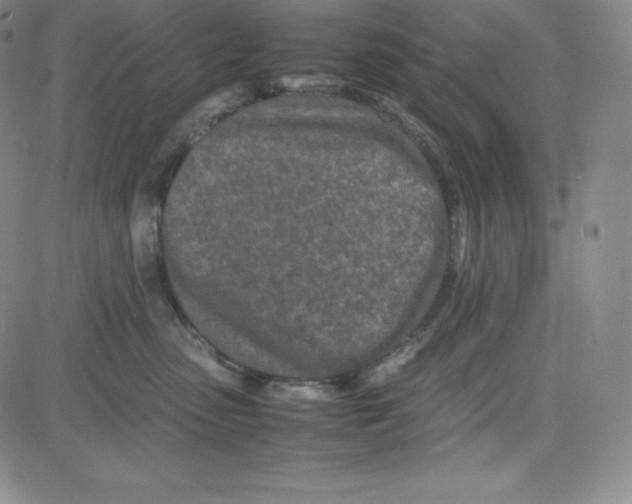 X0000080110475200701051334