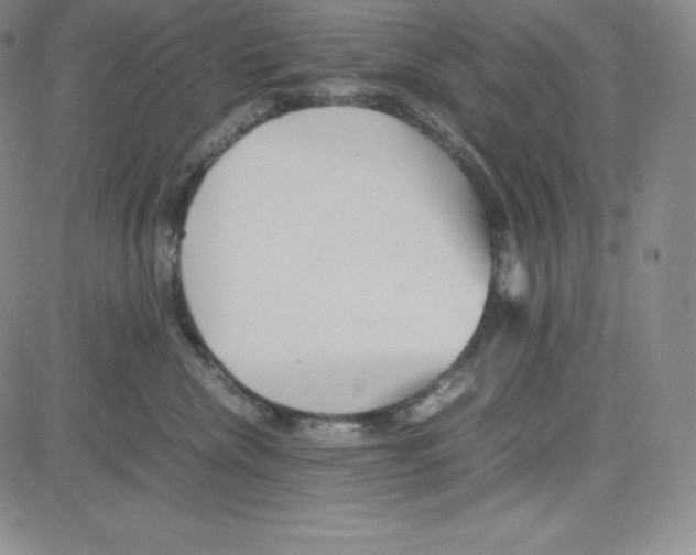 X0000080110476200701051334