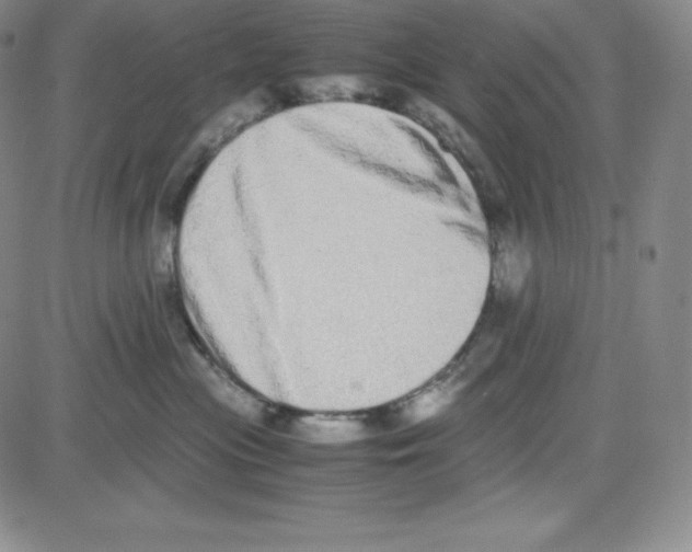 X0000080110477200701051334