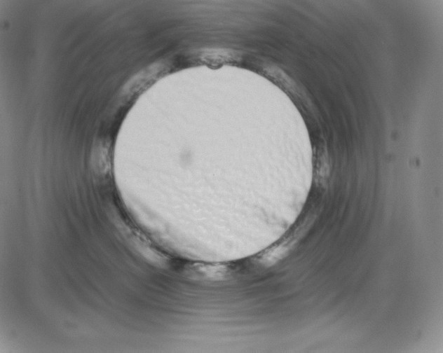 X0000080110478200701051334