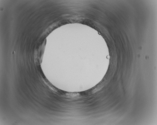 X0000080110480200701051334